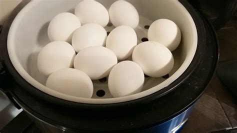 aroma test kitchen hard boiled eggs|aroma rice cooker eggs recipe.